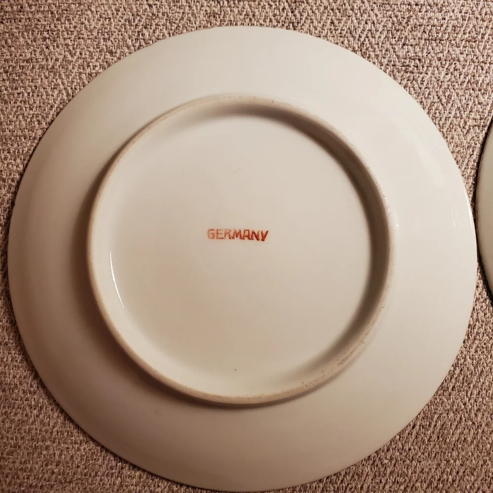Pair of Vintage Plates from Germany
